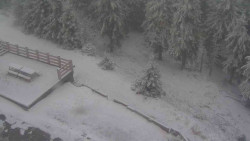 Přístup na běžeckou trať