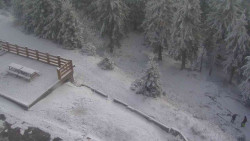 Přístup na běžeckou trať