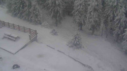 Přístup na běžeckou trať