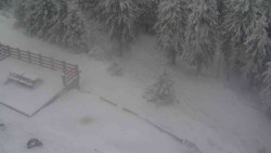 Přístup na běžeckou trať