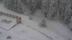 Přístup na běžeckou trať