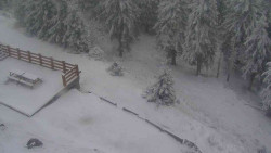 Přístup na běžeckou trať