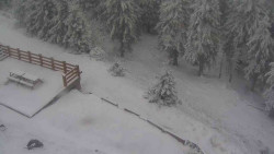 Přístup na běžeckou trať