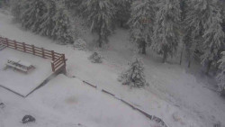 Přístup na běžeckou trať