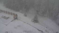 Přístup na běžeckou trať