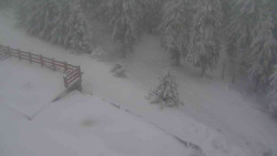 Přístup na běžeckou trať