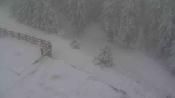 Přístup na běžeckou trať