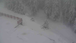 Přístup na běžeckou trať