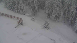 Přístup na běžeckou trať