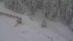 Přístup na běžeckou trať