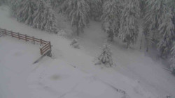 Přístup na běžeckou trať