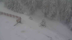 Přístup na běžeckou trať