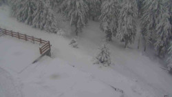 Přístup na běžeckou trať