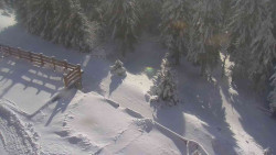 Přístup na běžeckou trať