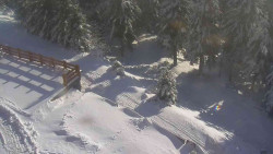 Přístup na běžeckou trať