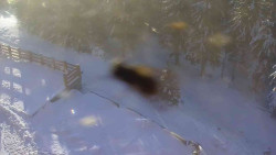 Přístup na běžeckou trať