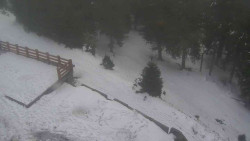 Přístup na běžeckou trať