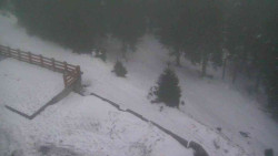 Přístup na běžeckou trať