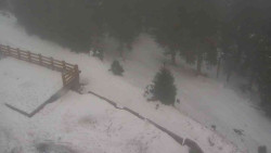 Přístup na běžeckou trať