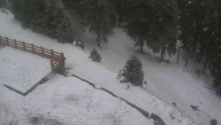 Přístup na běžeckou trať