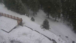 Přístup na běžeckou trať