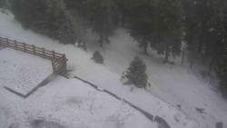 Přístup na běžeckou trať