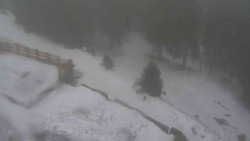 Přístup na běžeckou trať