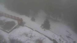 Přístup na běžeckou trať