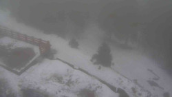 Přístup na běžeckou trať