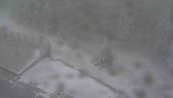 Přístup na běžeckou trať