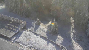 Sporthotel Kurzovní - Přístup na běžeckou trať - 25.12.2025 v 11:10