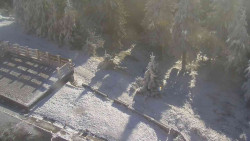 Přístup na běžeckou trať