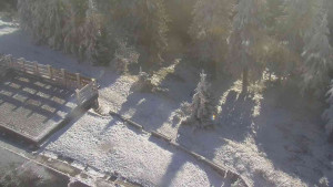 Sporthotel Kurzovní - Přístup na běžeckou trať - 25.12.2025 v 11:55