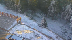 Přístup na běžeckou trať