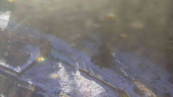 Přístup na běžeckou trať