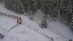 Přístup na běžeckou trať