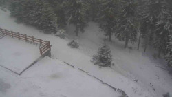 Přístup na běžeckou trať