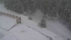 Přístup na běžeckou trať