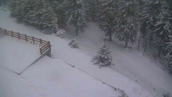 Přístup na běžeckou trať