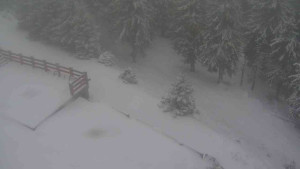 Sporthotel Kurzovní - Přístup na běžeckou trať - 1.1.2026 v 07:55