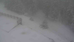 Přístup na běžeckou trať