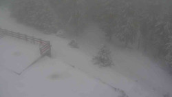 Přístup na běžeckou trať