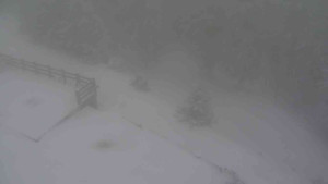 Sporthotel Kurzovní - Přístup na běžeckou trať - 1.1.2026 v 09:55