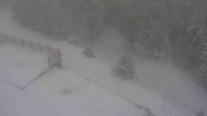 Sporthotel Kurzovní - Přístup na běžeckou trať - 1.1.2026 v 10:20