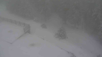 Sporthotel Kurzovní