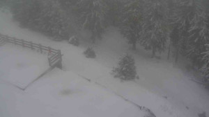 Sporthotel Kurzovní - Přístup na běžeckou trať - 1.1.2026 v 11:55