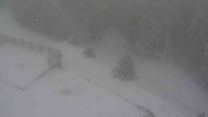 Sporthotel Kurzovní - Přístup na běžeckou trať - 1.1.2026 v 12:15