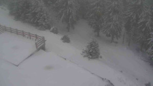 Sporthotel Kurzovní - Přístup na běžeckou trať - 1.1.2026 v 12:55