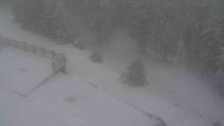 Přístup na běžeckou trať