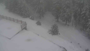 Sporthotel Kurzovní - Přístup na běžeckou trať - 1.1.2026 v 14:50